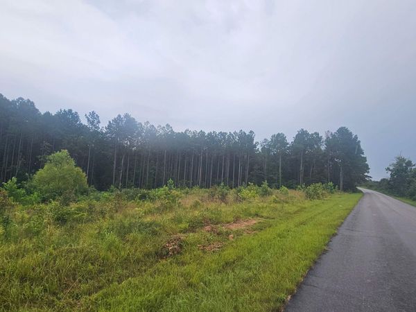 2010 County Road 961, Dennis, MS 38838