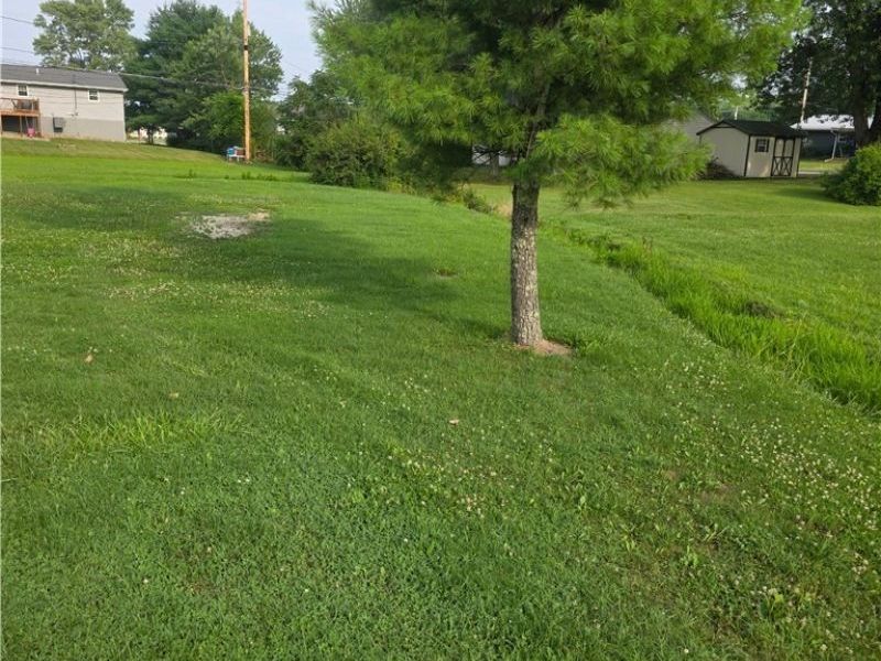 301 Shenandoah Drive, Byesville, OH 43723 Photo 46