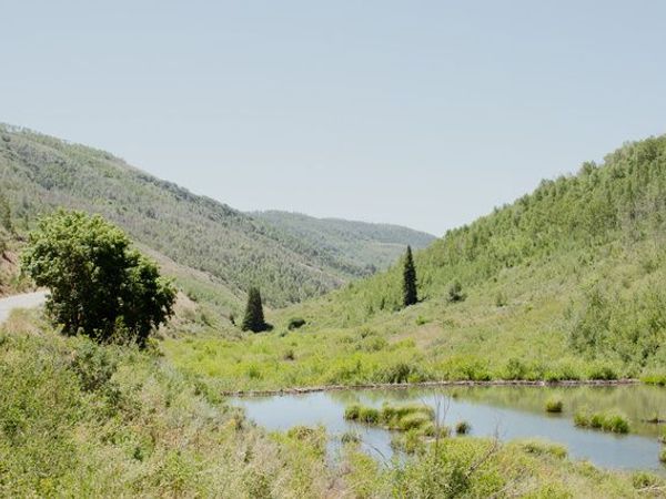 6082 N MIDDLE FORK DR, Unit 43, Huntsville, UT 84317