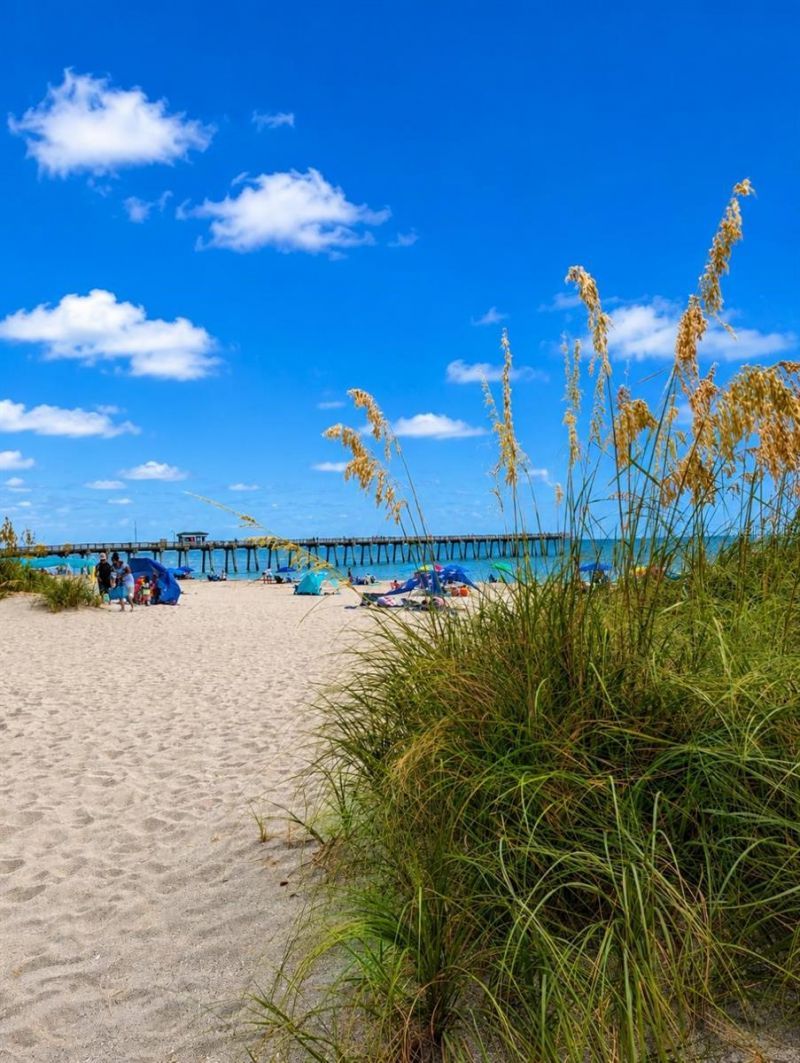 733 Laurel Avenue , Venice, FL 34285 Photo