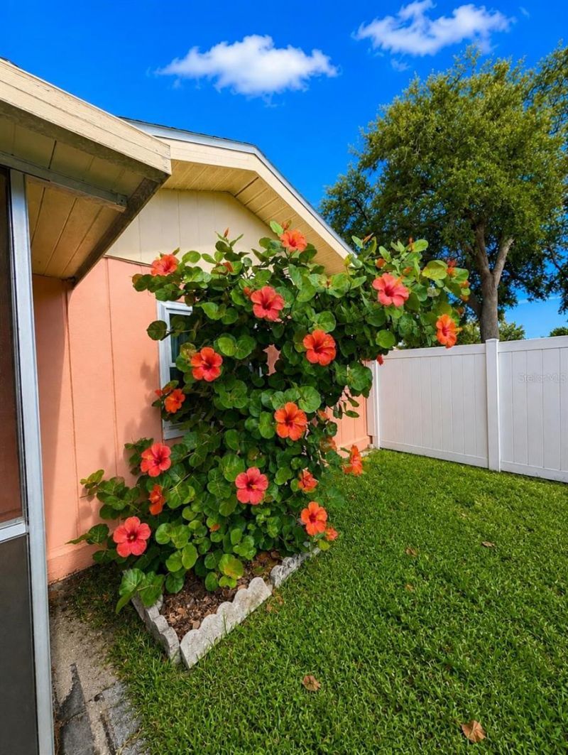 733 Laurel Avenue , Venice, FL 34285 Photo