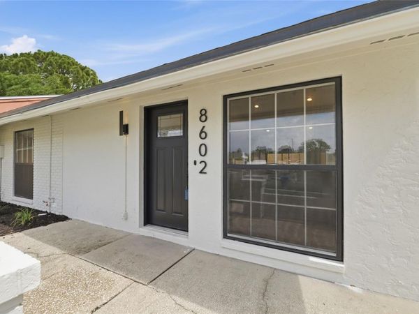 8602 BRIAR GROVE CIR , TAMPA, FL 33615