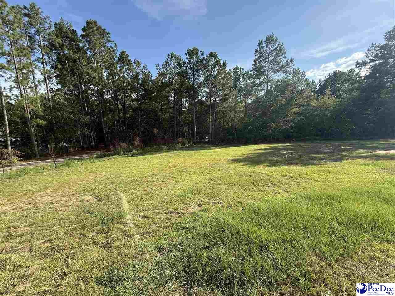 807 Saddlebrook Rd. Photo 33