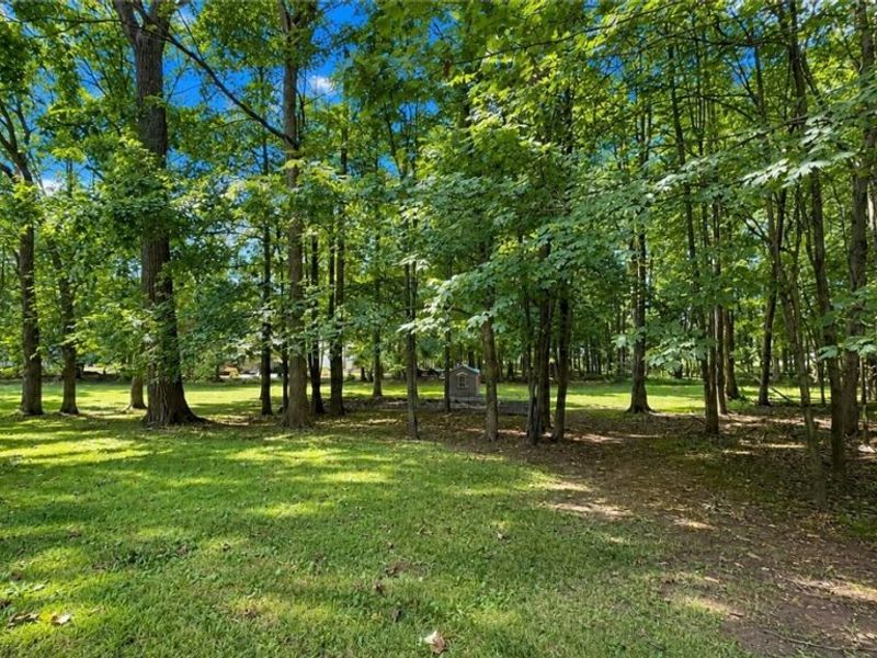 125 Orange Tree Drive, Orange, OH 44022 Photo 41