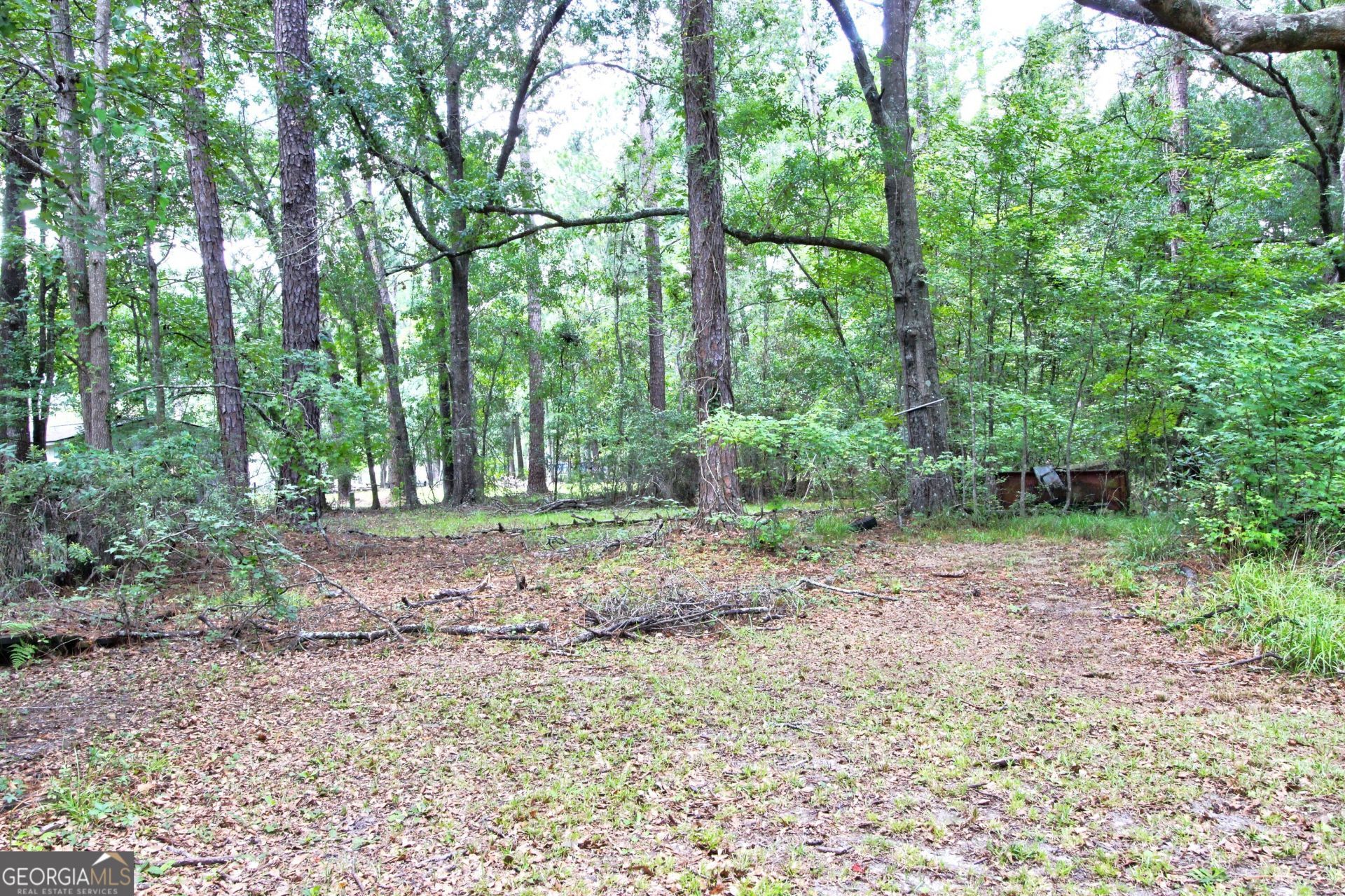 413 Wallace Circle, Bloomingdale, GA 31302 Main Photo