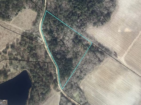 2218 Pittman Rd, Cobbtown, GA 30420