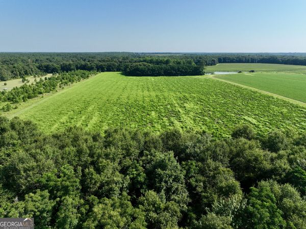 0 Vienna Highway, Hawkinsville, GA 31036