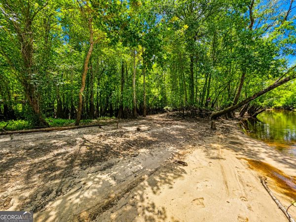 00 Lewis Landing, Nahunta, GA 31553