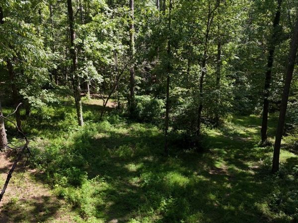 115-LOT 101/ PA Shoal Creek Dr, Sharpsburg, GA 30277