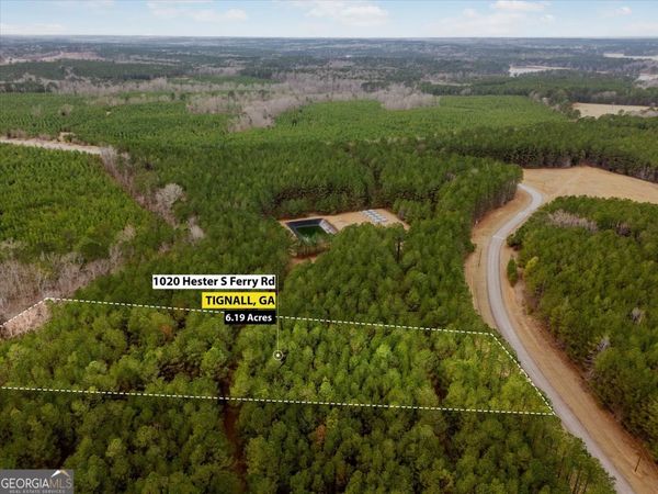 1020 Hesters Ferry Road, Tignall, GA 30668