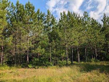 Lot C Hwy. 24 , Orr, MN 55771