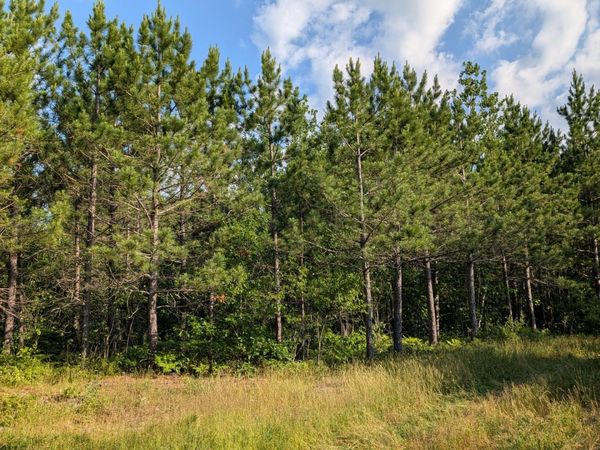 Lot C Hwy. 24 , Orr, MN 55771