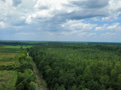 0 Cane Branch Road, Unit Parcel C, Walterboro, SC 29488