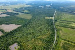 0 Cane Branch Road photo 4