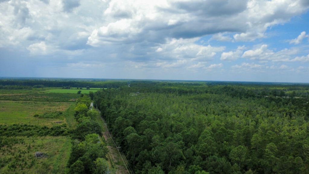 0 Cane Branch Road Photo 5