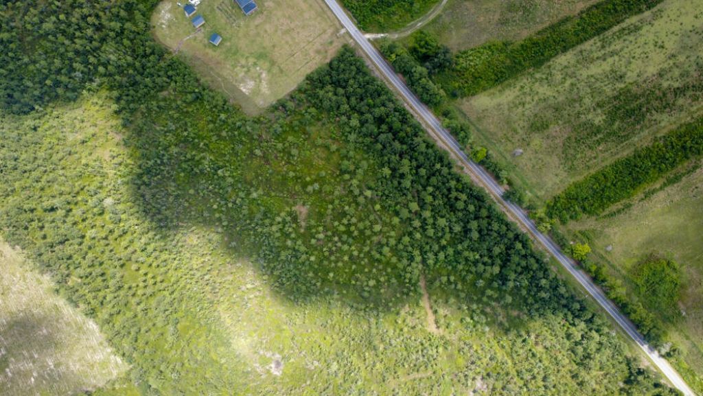 0 Cane Branch Road Photo 8