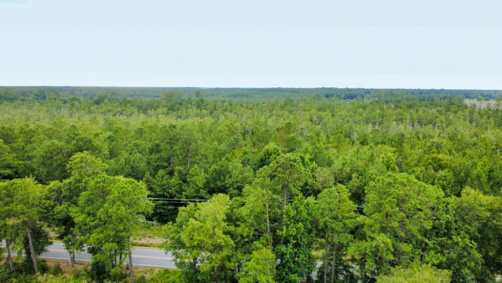 0 Cane Branch Road Photo 8