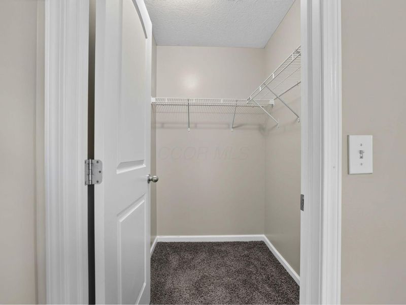 299 Dovetail Drive, Lewis Center, OH 43035 Photo 33