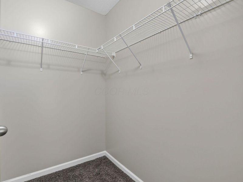 299 Dovetail Drive, Lewis Center, OH 43035 Photo 34