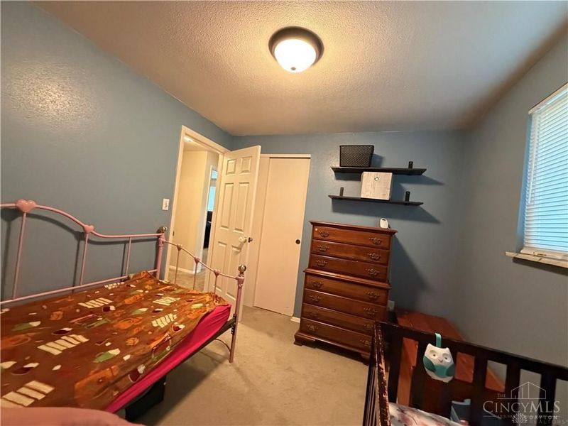 217 Drina Avenue, New Lebanon, OH 45345 Photo 6