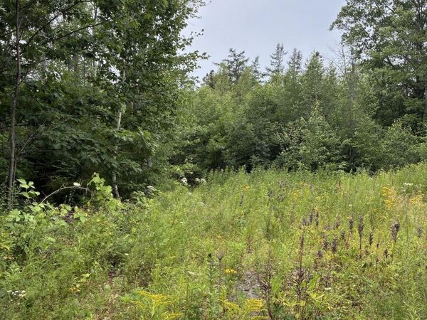 Lot 10 White Deer Circle , Bar Harbor, ME 04609