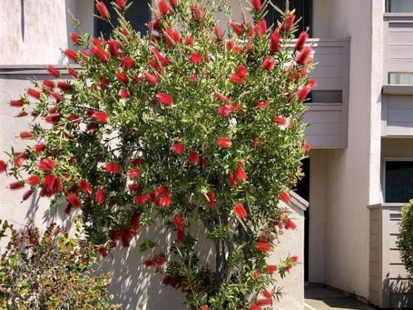 3254 Ashford St, Unit H, San Diego, CA 92111