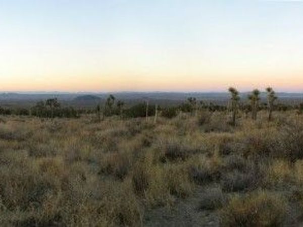 223 Avenue Y14, Llano, CA 93544