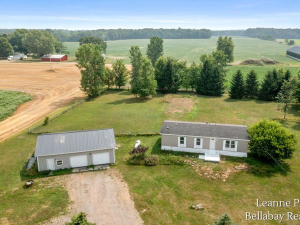 10130 Stahl Road, Lake Odessa, MI 48849
