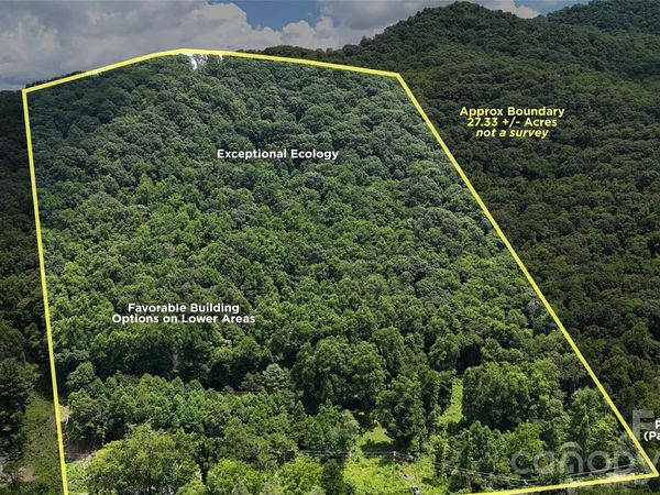 TBD Paint Fork Road, Barnardsville, NC 28709