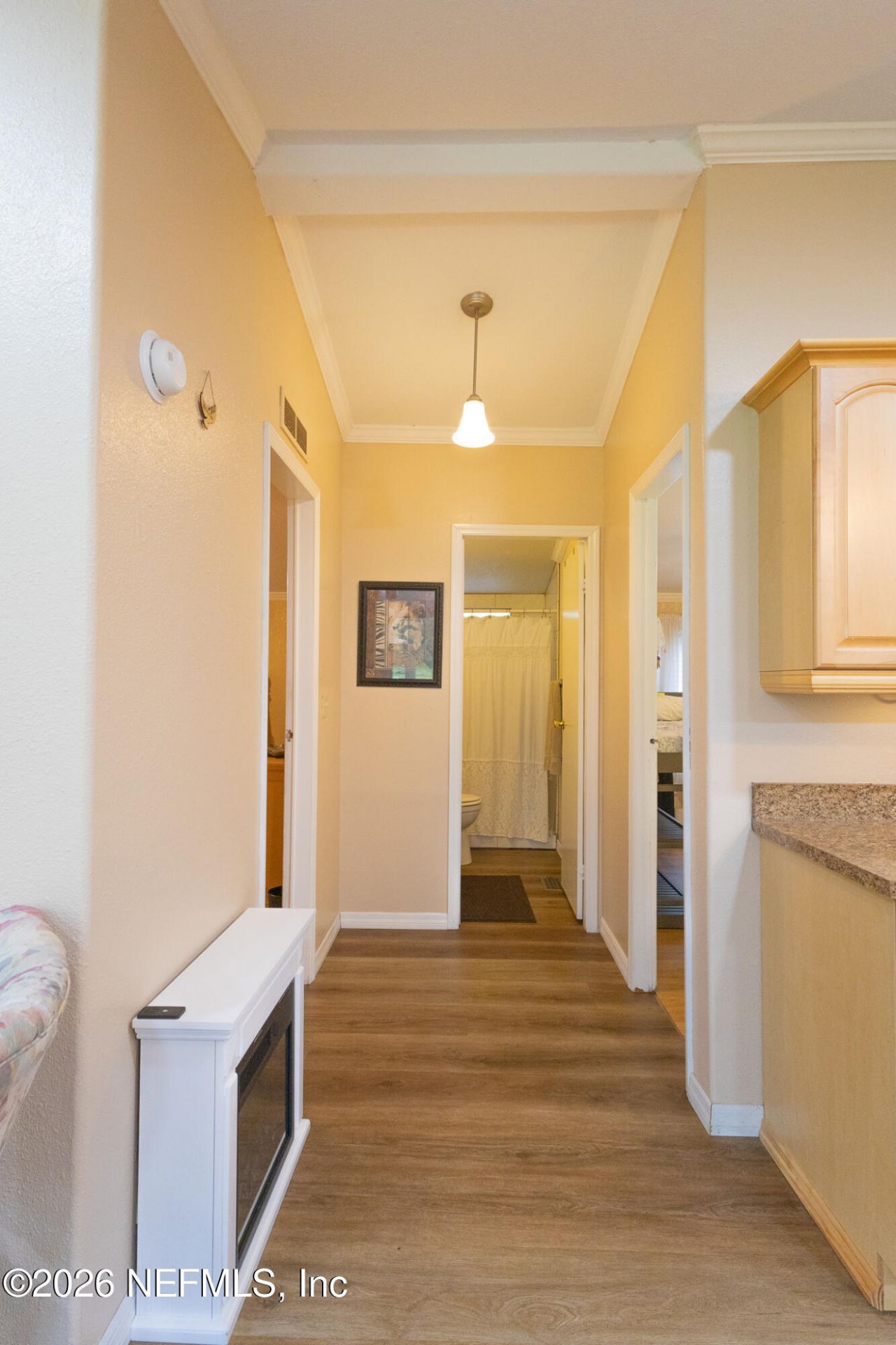 185 Kingfish Road, Pomona Park, FL 32181 Photo