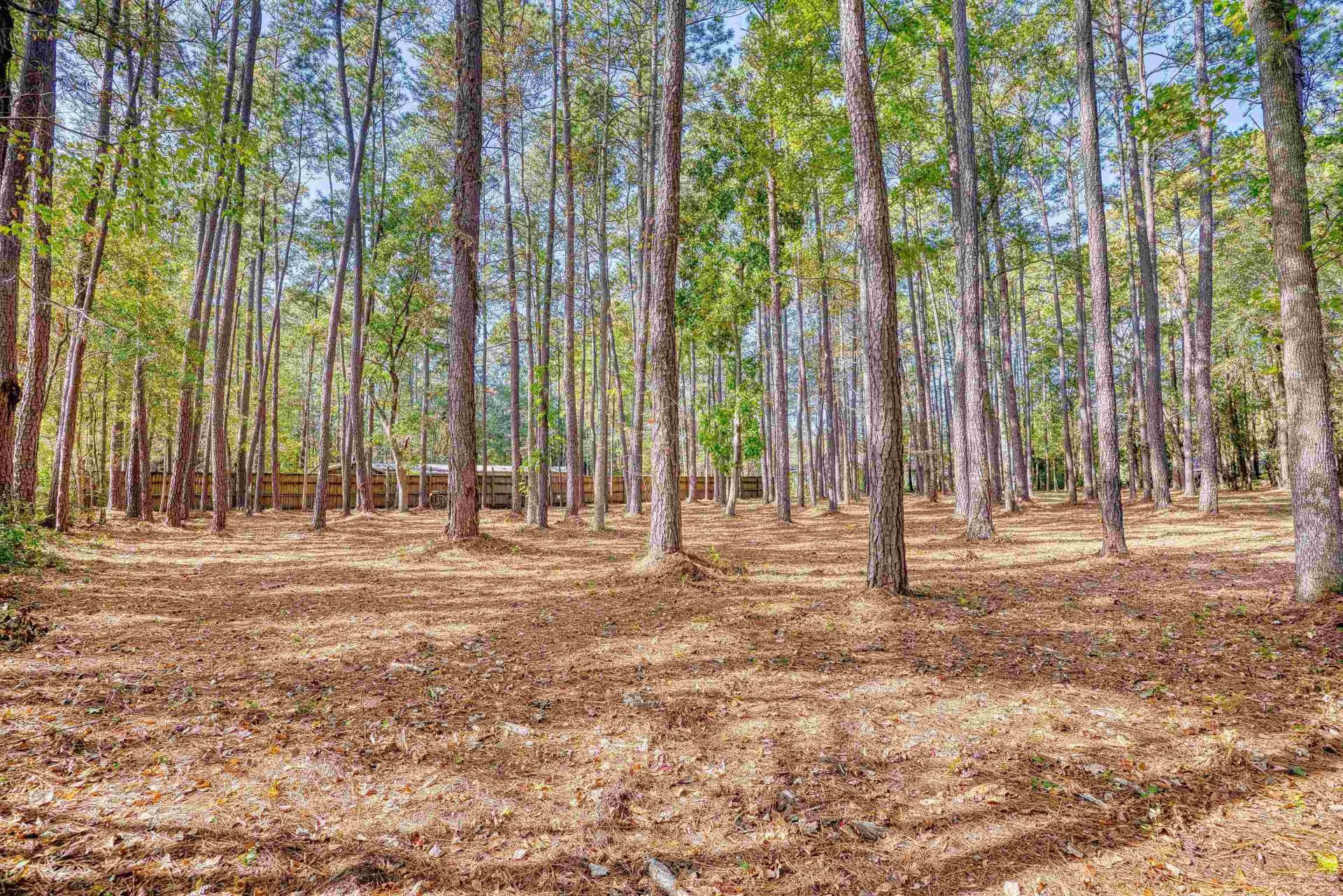 4250 Lilac Rd.  Photo 12