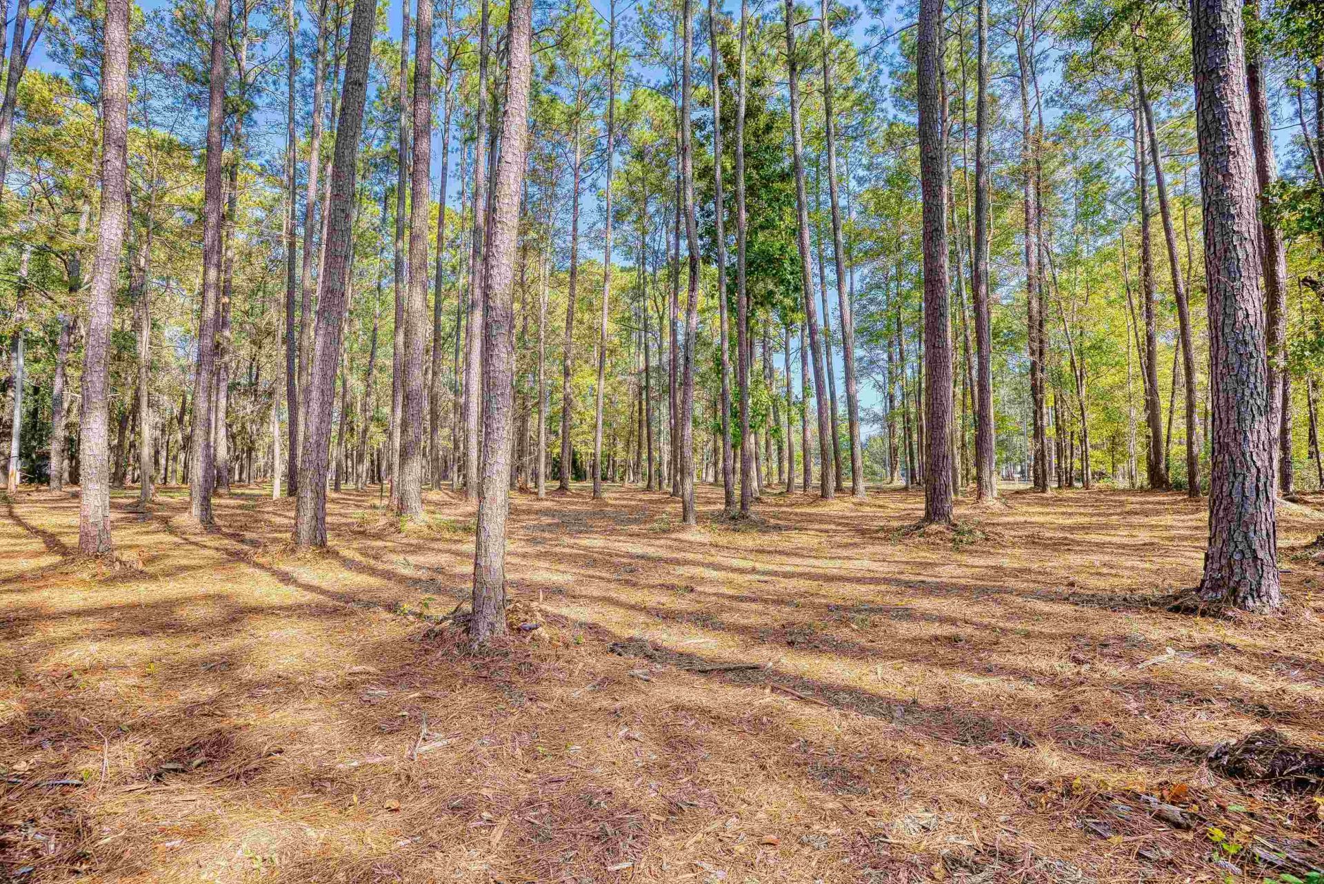 4250 Lilac Rd.  Photo 14