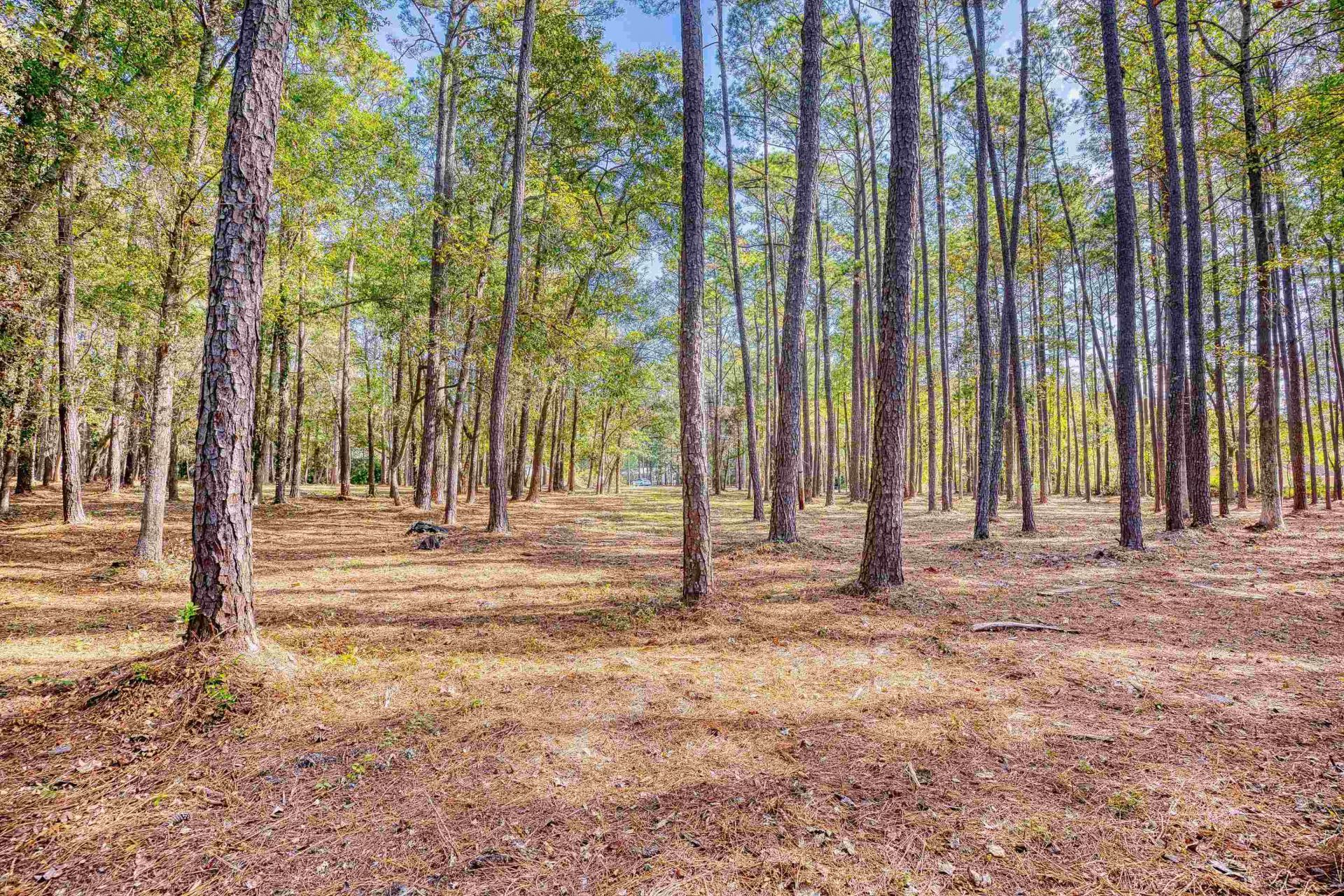 4250 Lilac Rd.  Photo 16
