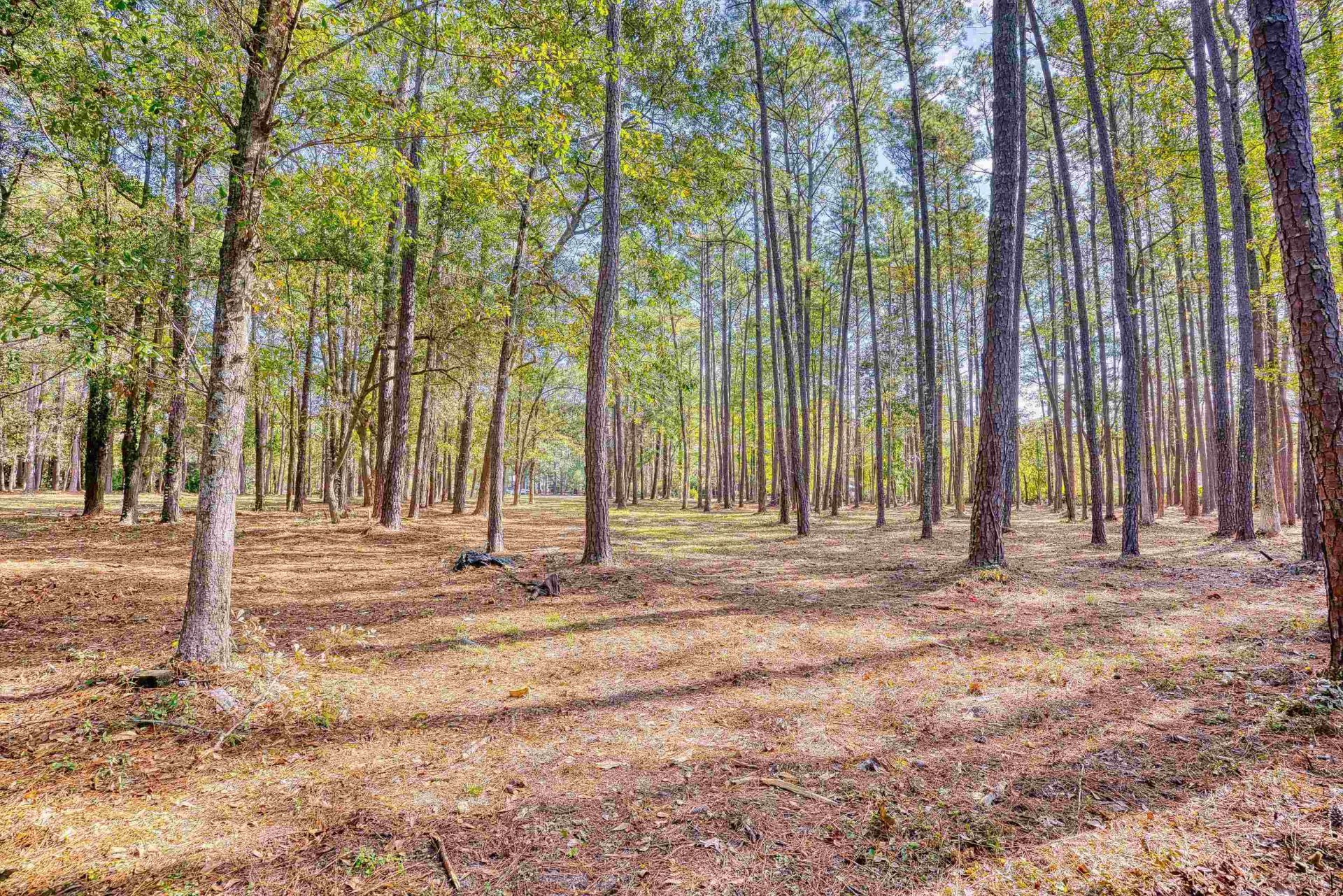 4250 Lilac Rd.  Photo 17