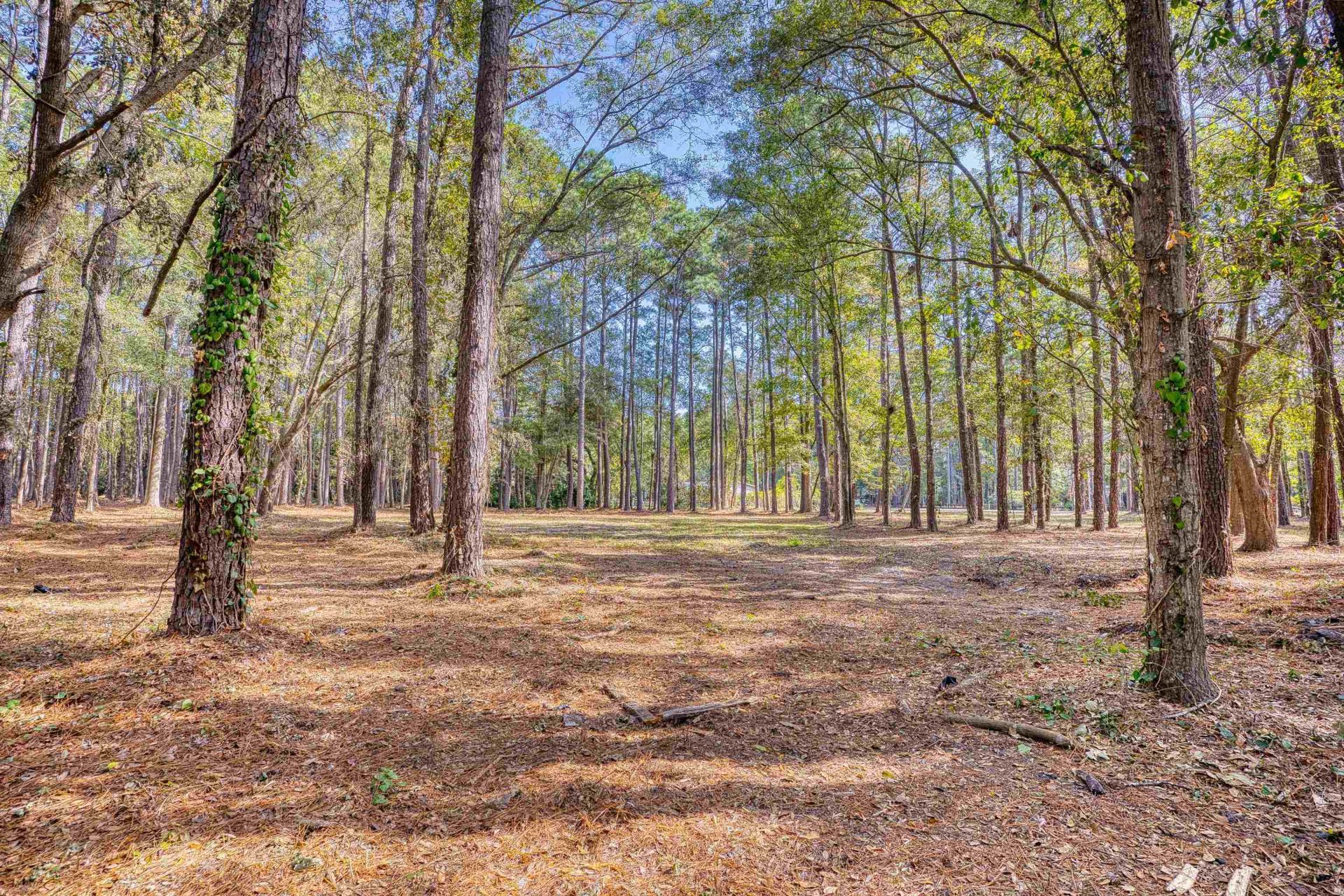 4250 Lilac Rd.  Photo 19