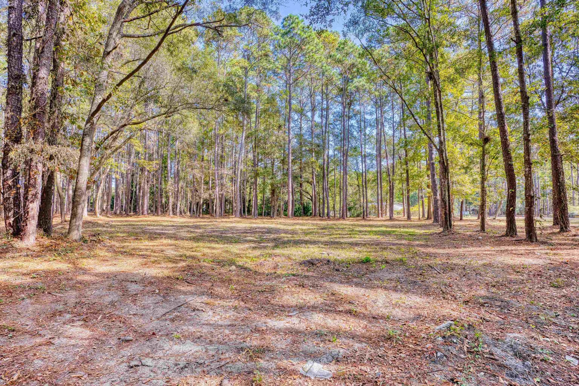 4250 Lilac Rd.  Photo 21