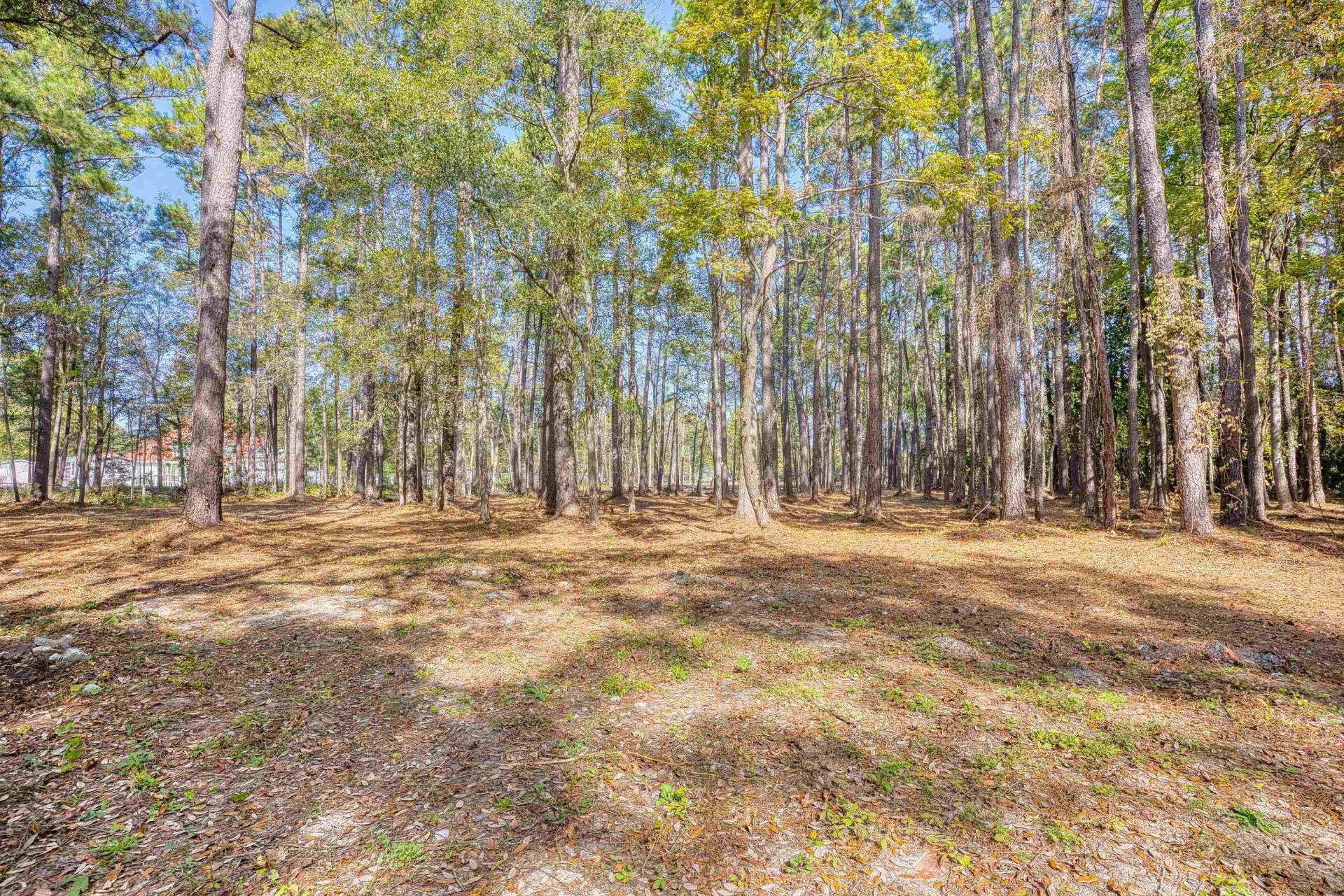 4250 Lilac Rd.  Photo 22