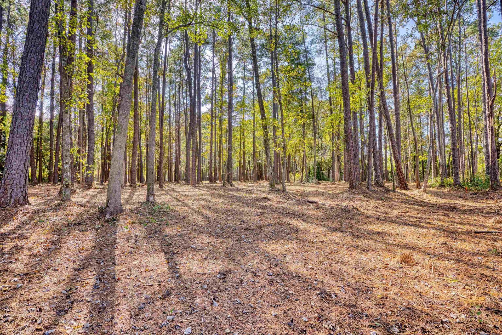4250 Lilac Rd.  Photo 23