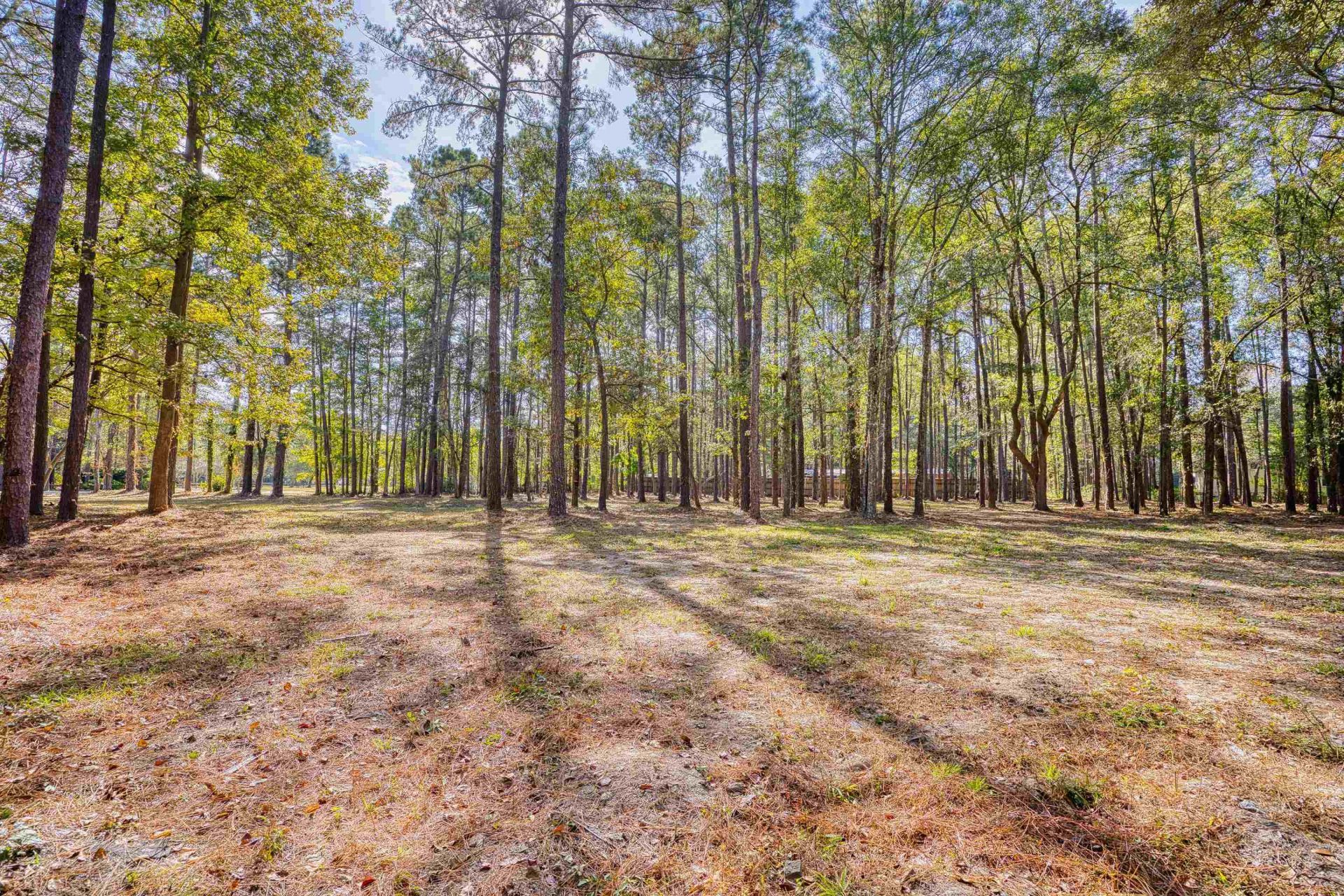4250 Lilac Rd.  Photo 26