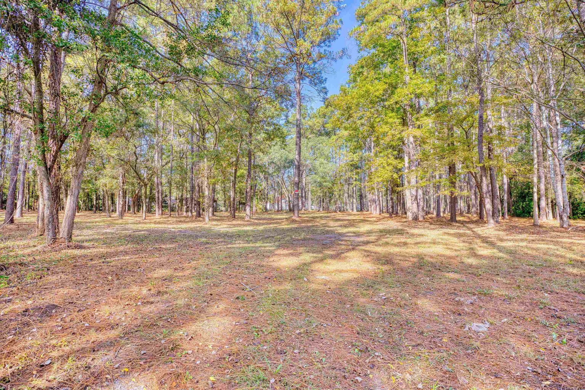 4250 Lilac Rd.  Photo 31
