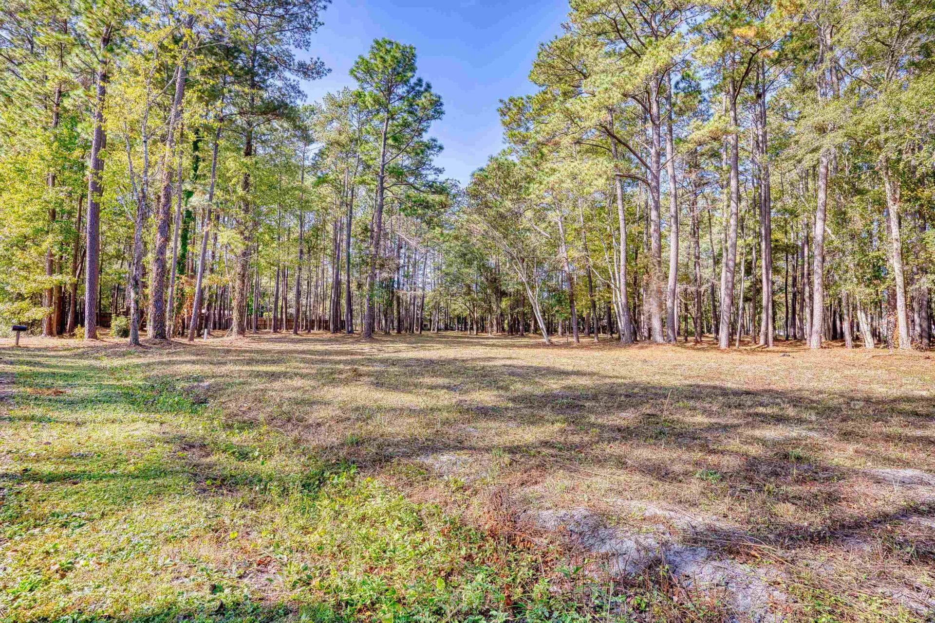4250 Lilac Rd.  Photo 4