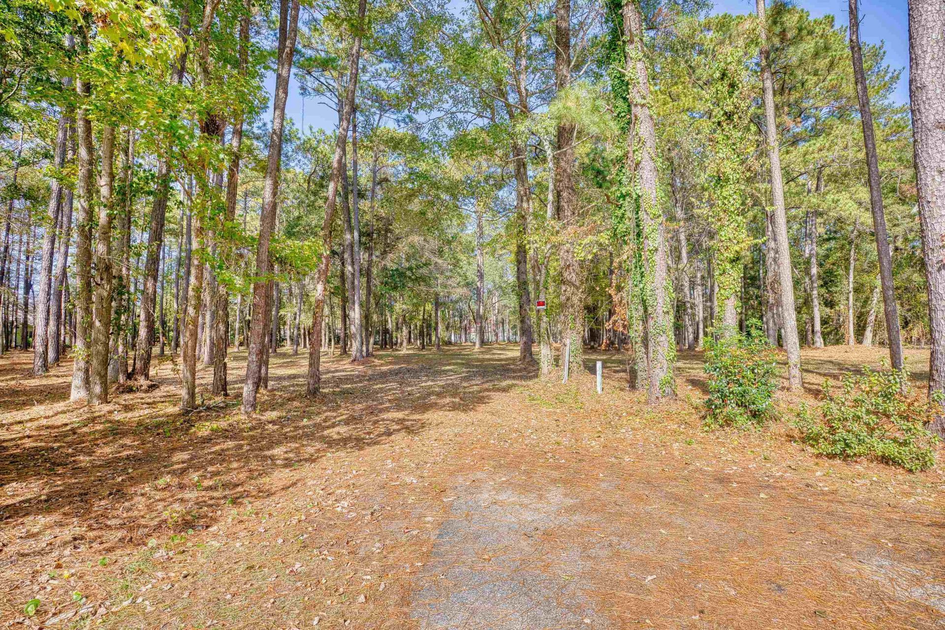 4250 Lilac Rd.  Photo 5
