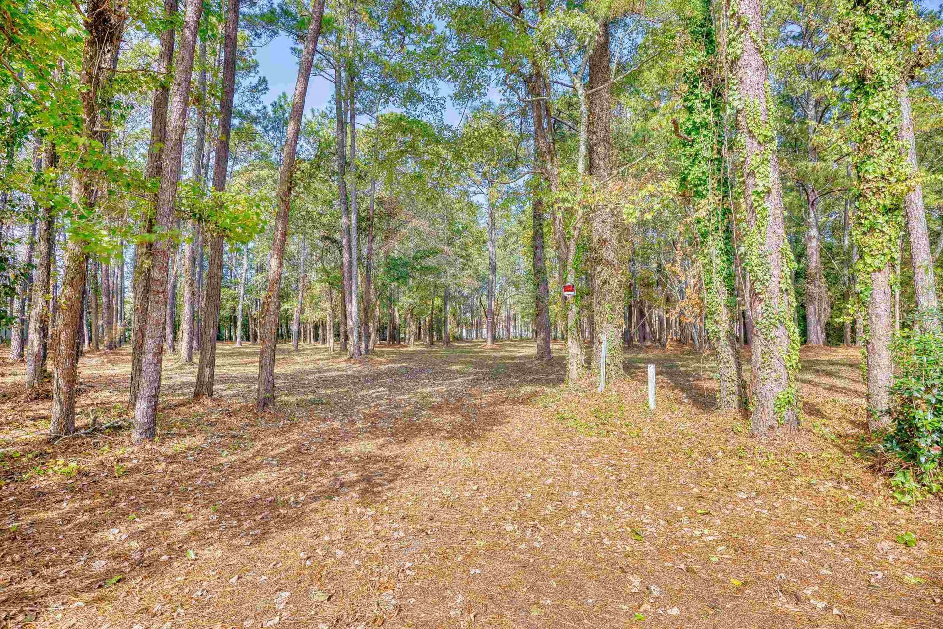 4250 Lilac Rd.  Photo 6