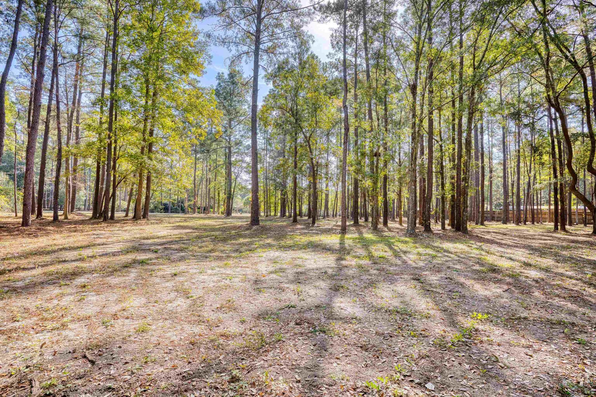 4250 Lilac Rd.  Photo 7