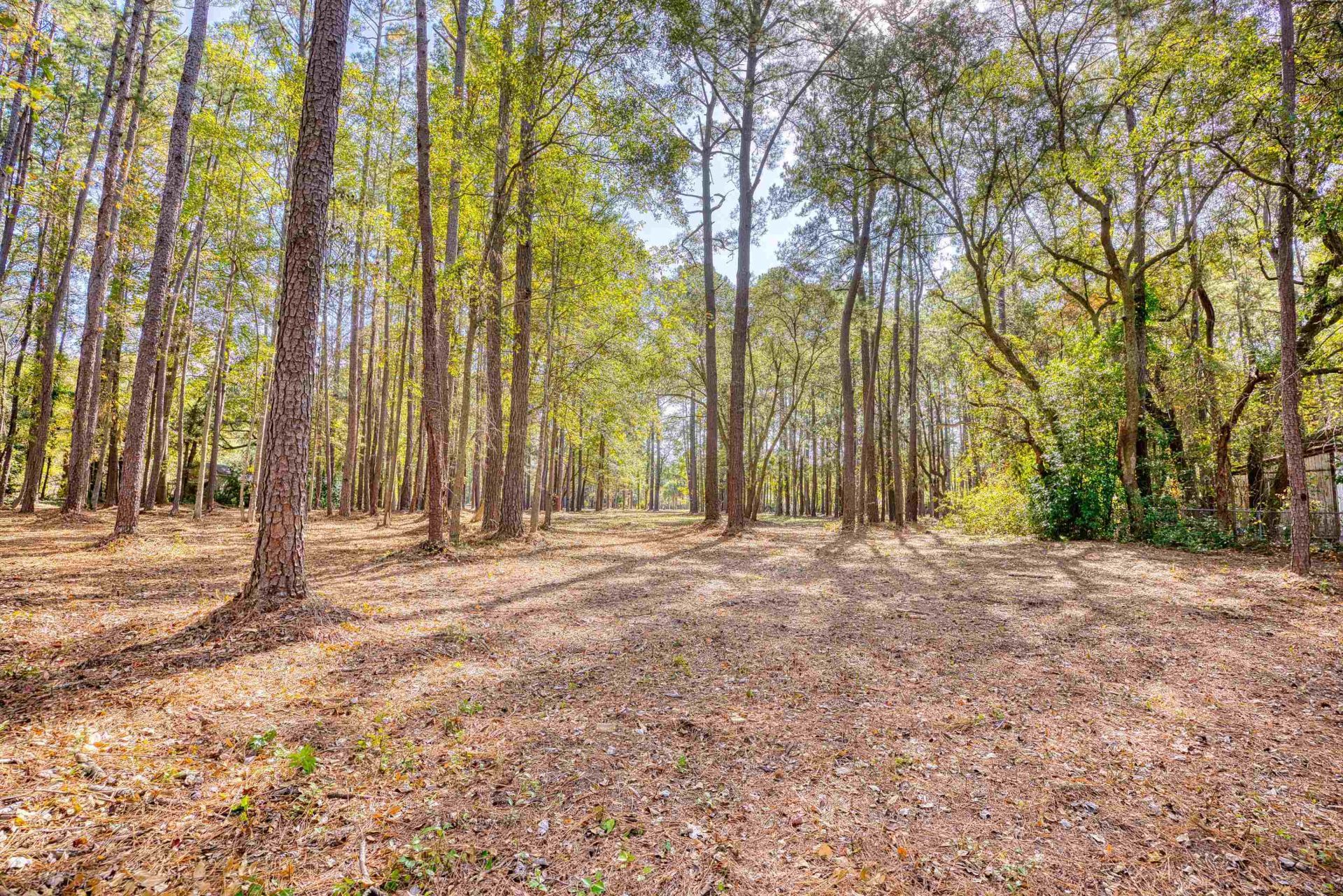 4250 Lilac Rd.  Photo 9