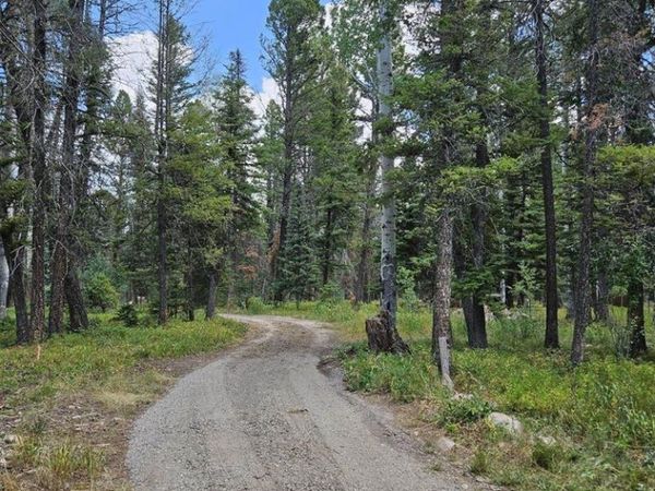 764 Deer Trail, Cimarron, CO 81220