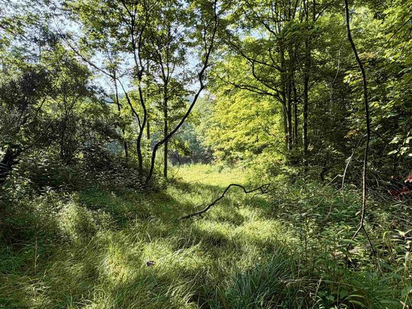 0 Parkersburg Road, Ripley, WV 25271