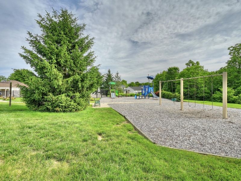 9971 Meadow Glen Drive, Independence, KY 41051 Photo 49