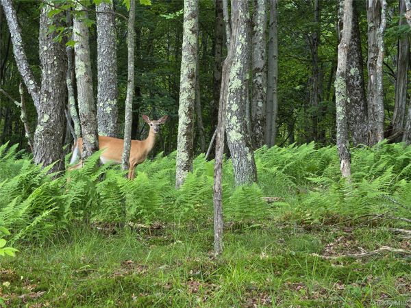 TBD Timberwolf Road W, Liberty, NY 12754