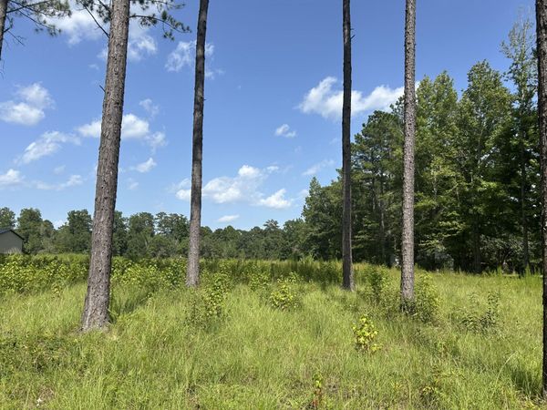 88 Pine Ridge, Columbia, MS 39429